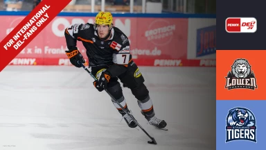 For international fans only - DEL: Löwen Frankfurt vs. Straubing Tigers
