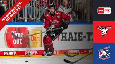 For international fans only - DEL: Kölner Haie vs. Adler Mannheim