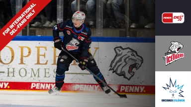 For international fans only - DEL: Nürnberg Ice Tigers vs. Dresdner Eislöwen