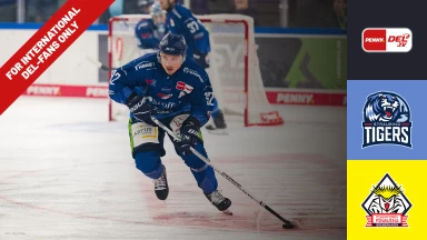 For international fans only - DEL: Straubing Tigers vs. Fischtown Pinguins Bremerhaven
