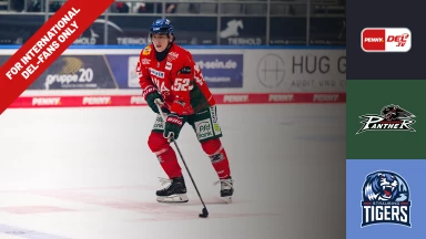 For international fans only - DEL: Augsburger Panther vs. Straubing Tigers