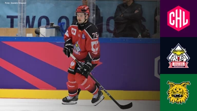 CHL: Pinguins Bremerhaven vs. Ilves Tampere - Achtelfinale - kommentiert von Christoph Fetzer