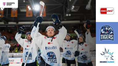 DEL: Straubing Tigers vs. Dresdner Eislöwen - MagentaSport