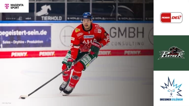 DEL: Augsburger Panther vs. Dresdner Eislöwen - MagentaSport