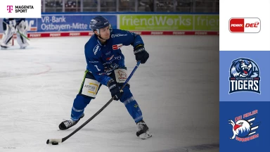 DEL: Straubing Tigers vs. Adler Mannheim - MagentaSport