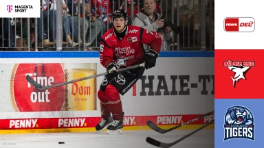 DEL: Kölner Haie vs. Straubing Tigers - MagentaSport