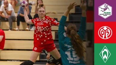 FOR FREE - 2. HBF: 1. FSV Mainz 05 vs. SV Werder Bremen