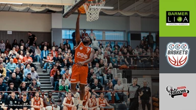 ProA: SBB Baskets Wolmirstedt vs. Nürnberg Falcons BC