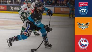 win2day ICE Hockey League: Steinbach Black Wings Linz vs. HC TIWAG Innsbruck- Die Haie