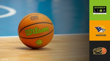 ProB Nord: Seawolves Academy vs. LOK BERNAU