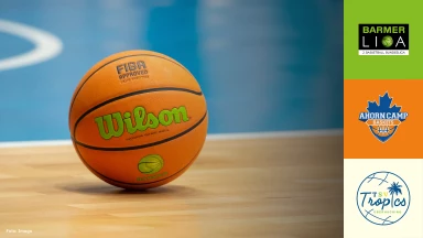 ProB Süd: Ahorn Camp Baskets vs. TSV Oberhaching Tropics