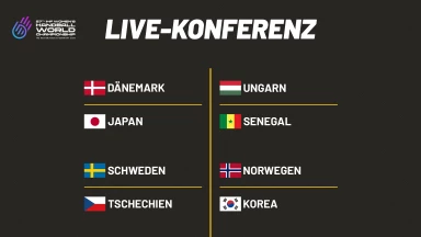 WM der Frauen: Konferenz 27.11. #2 - kommentiert von Kati Schielke & Ina Großmann