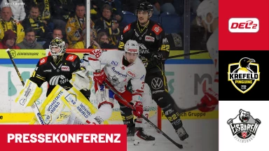DEL2: Krefeld Pinguine vs. Eisbären Regensburg I Pressekonferenz