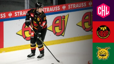 CHL: Luleå Hockey vs. Ilves Tampere - Viertelfinale - kommentiert von Nico Lange