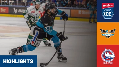 win2day ICE Hockey League: Steinbach Black Wings Linz vs. HC TIWAG Innsbruck- Die Haie | Highlights
