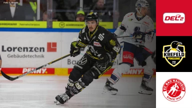 DEL2: Krefeld Pinguine vs. EC Bad Nauheim