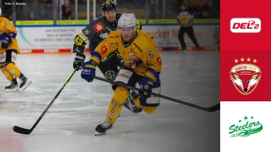 DEL2: Lausitzer Füchse vs. Bietigheim Steelers