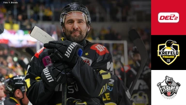 DEL2: Krefeld Pinguine vs. Eisbären Regensburg