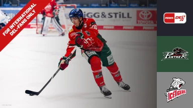 For international fans only - DEL: Augsburger Panther vs. Nürnberg Ice Tigers