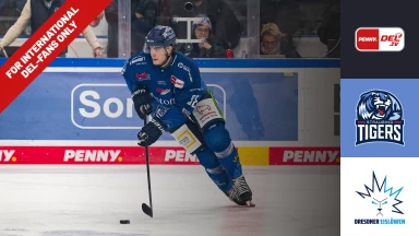 For international fans only - DEL: Straubing Tigers vs. Dresdner Eislöwen