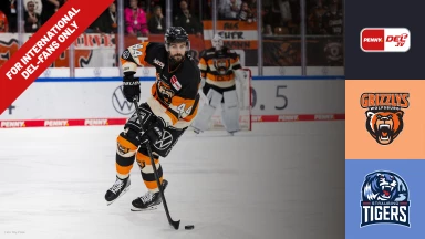 For international fans only - DEL: Grizzlys Wolfsburg vs. Straubing Tigers