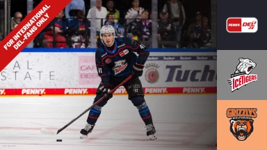 For international fans only - Nürnberg Ice Tigers vs. Grizzlys Wolfsburg