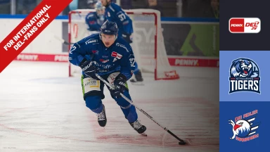 For international fans only - Straubing Tigers vs. Adler Mannheim