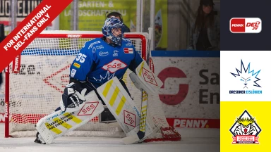 For international fans only - Dresdner Eislöwen vs. Fischtown Pinguins Bremerhaven