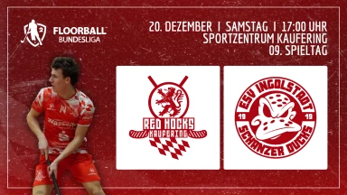 VfL Red Hocks Kaufering vs. ESV Ingolstadt | 2. Floorball Bundesliga