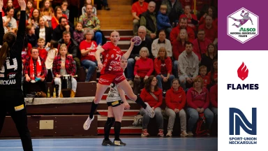 HBF: HSG Bensheim-Auerbach  vs. Neckarsulmer SU