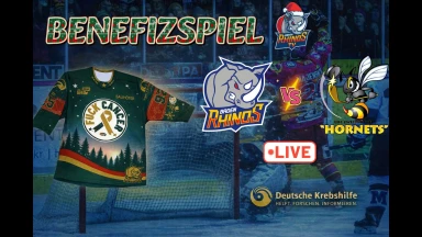 Benefizspiel! Baden Rhinos🦏 vs Hornets Zweibrücken🐝