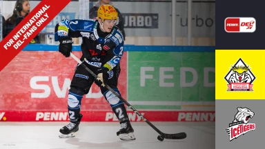 For international fans only - Pinguins Bremerhaven vs. Nürnberg Ice Tigers