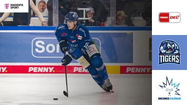 DEL: Straubing Tigers vs. Dresdner Eislöwen - MagentaSport