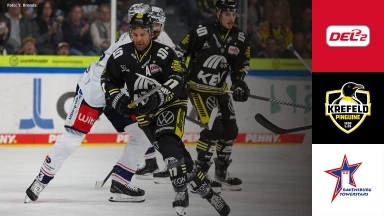 DEL2: Krefeld Pinguine vs. Ravensburg Towerstars