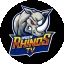 Baden Rhinos Tv