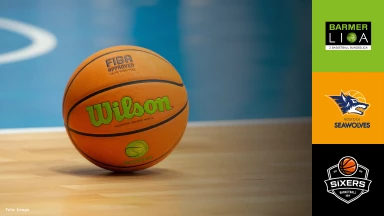 ProB Nord: Seawolves Academy vs. BSW Sixers