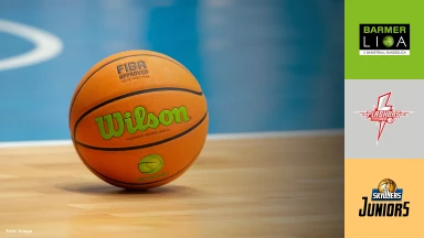 ProB Süd: SV Fellbach Flashers vs. SKYLINERS Juniors