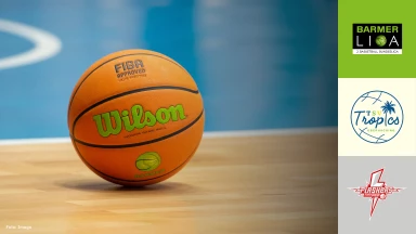 ProB Süd: TSV Oberhaching Tropcis vs. SV Fellbach Flashers