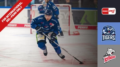 For international fans only - DEL: Straubing Tigers vs. Nürnberg Ice Tigers