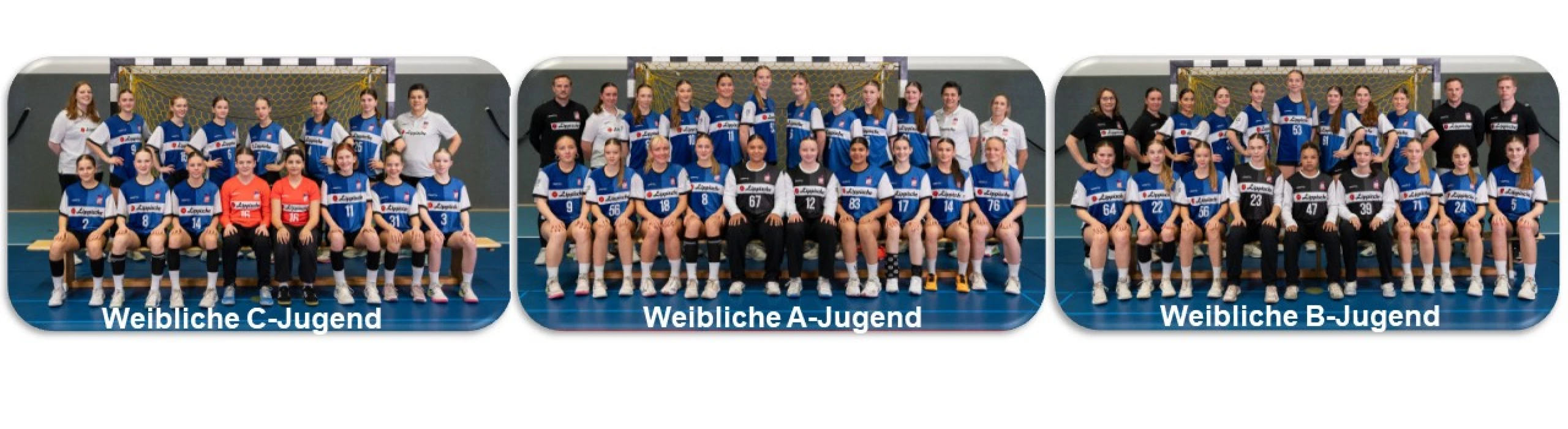 HSG Blomberg-Lippe U19w