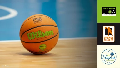 ProB Süd: OrangeAcademy vs. TSV Oberhaching Tropics