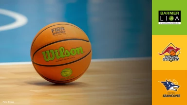 ProB Nord: Iserlohn Kangaroos vs Seawolves Academy