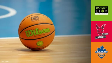 ProB Süd: BG Hessing Leitershofen vs. Ahorn Camp Baskets