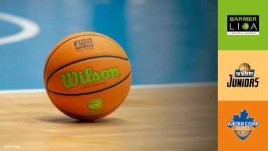 ProB Süd: SKYLINERS Juniors vs. Ahorn Camp Baskets