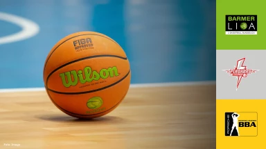 ProB Süd: SV Fellbach Flashers vs. Porsche BBA Ludwigsburg