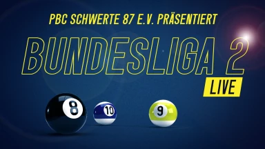 Pool Billard 2. Bundesliga PBC Schwerte Tisch 1