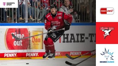 DEL: Kölner Haie vs. Dresdner Eislöwen - MagentaSport