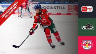 For international fans only - DEL: Augsburger Panther vs. EHC Red Bull München