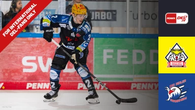 For international fans only - DEL: Pinguins Bremerhaven vs. Adler Mannheim