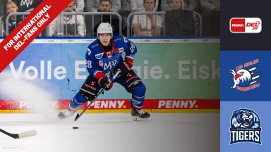 For international fans only - DEL: Adler Mannheim vs. Straubing Tigers